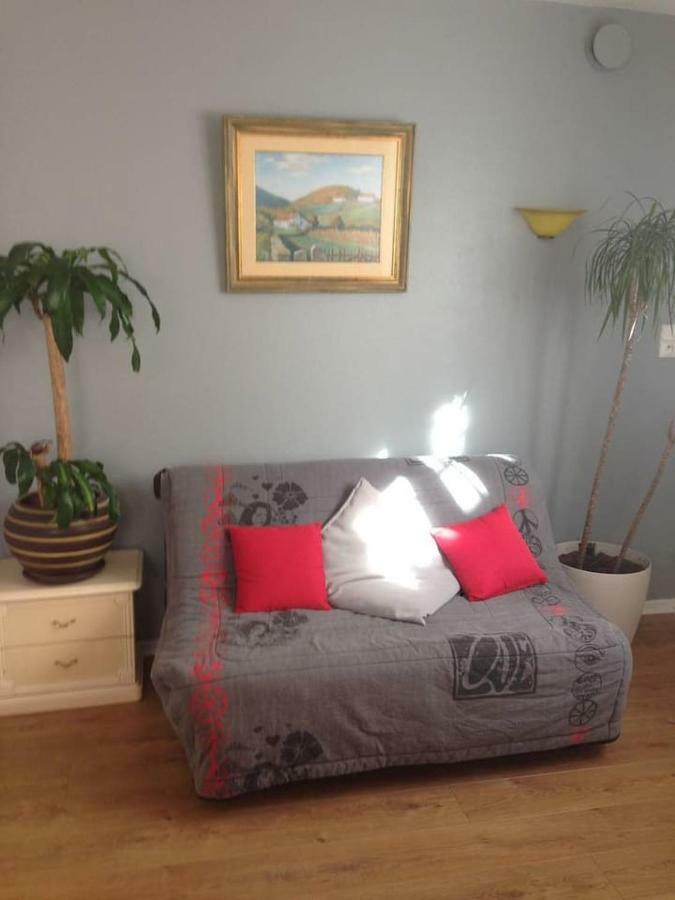 Petit Appartement Douillet Tres Bien Situe Biarritz Bagian luar foto